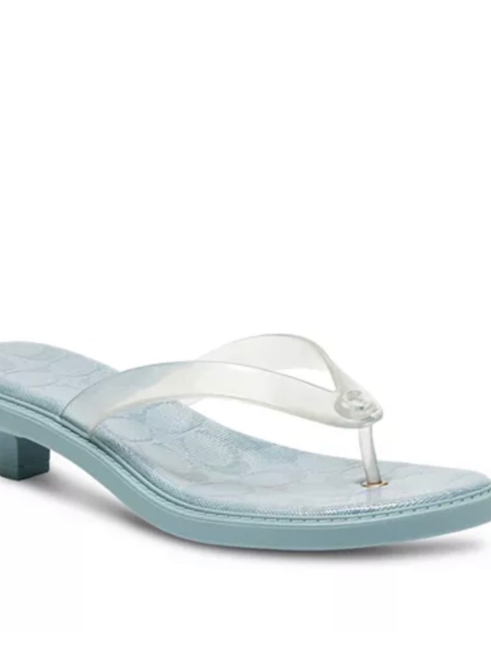 New Coach Baby Blue Jelly Sandals